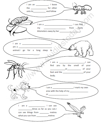 senses super worksheet class evs cbse animal worksheets identify write